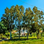 Apartment Aloni And
