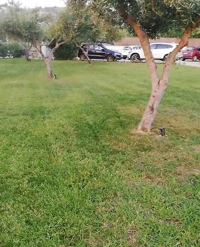 Daire Aloni And Lassi (Kefalonia)